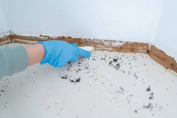 Best Affordable Pest Control Services  in Mount Juliet, TN