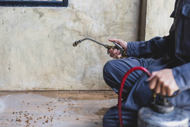 Best Termite Control Services  in Mount Juliet, TN