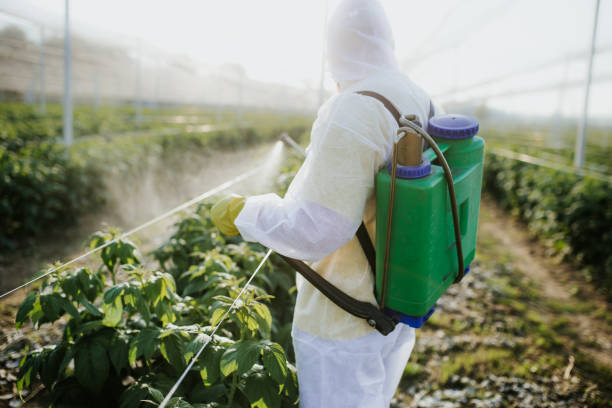 Best Emergency Pest Control  in Mount Juliet, TN